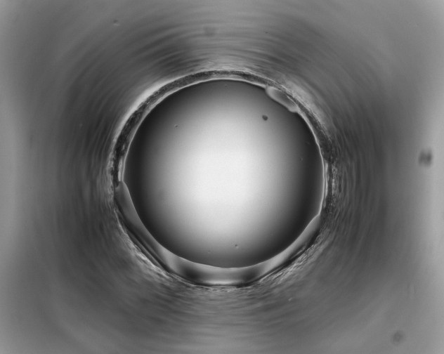 X0000099461068200805091523