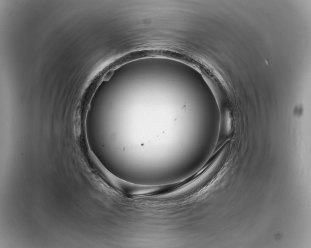 X0000099461069200805091523