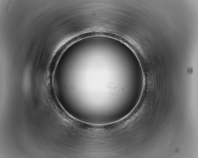 X0000099461070200805091523