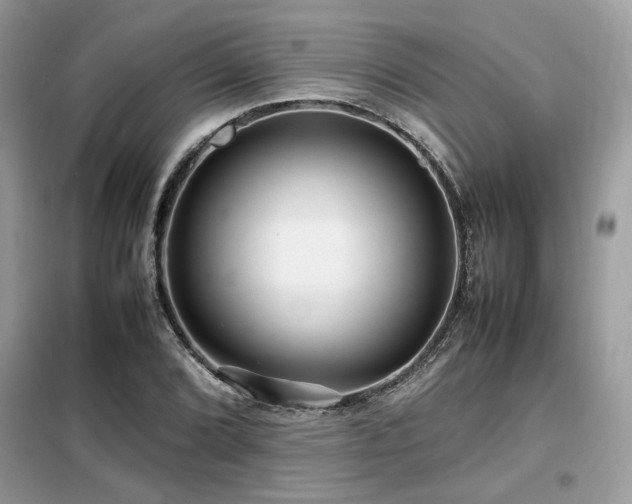 X0000099461072200805091523