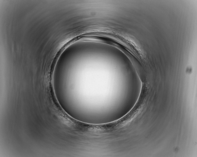 X0000099461073200805091523