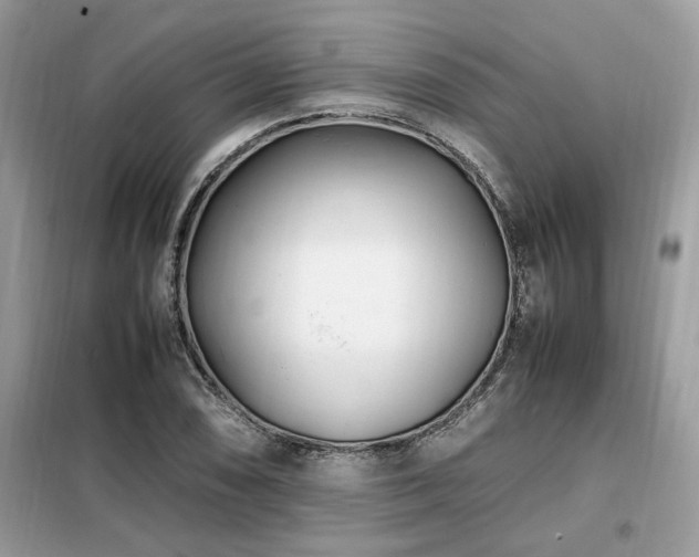 X0000099461074200805091523