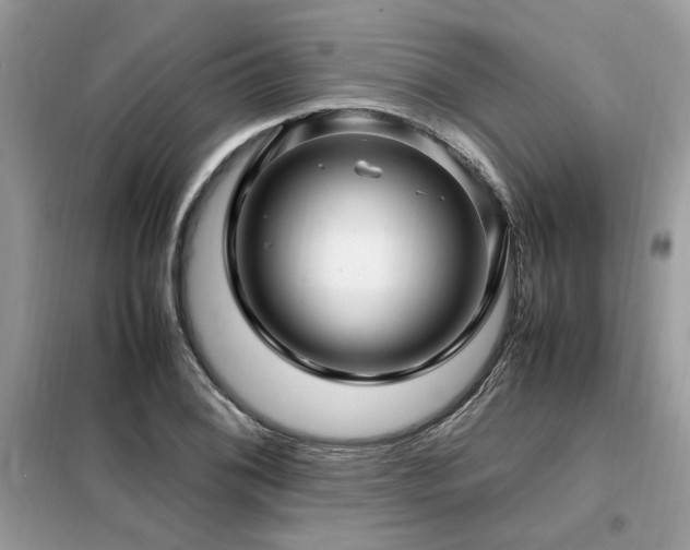 X0000099461076200805091523
