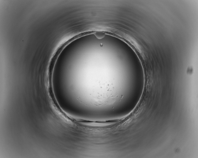 X0000099461080200805091523