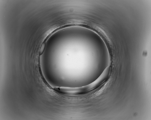X0000099461081200805091523