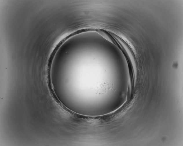 X0000099461085200805091523