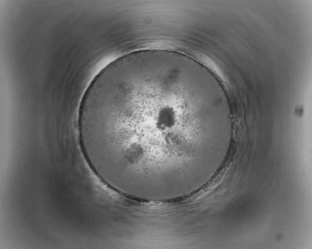 X0000099461087200805091523
