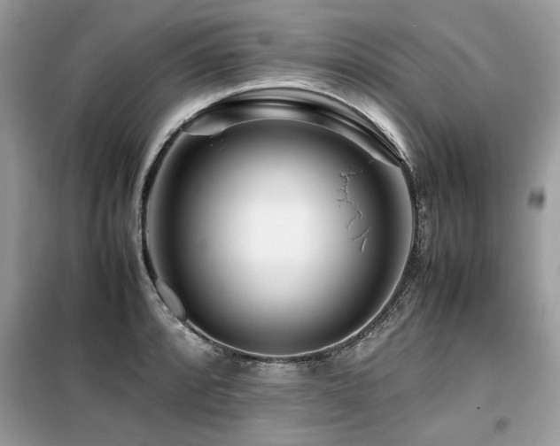 X0000099461088200805091523