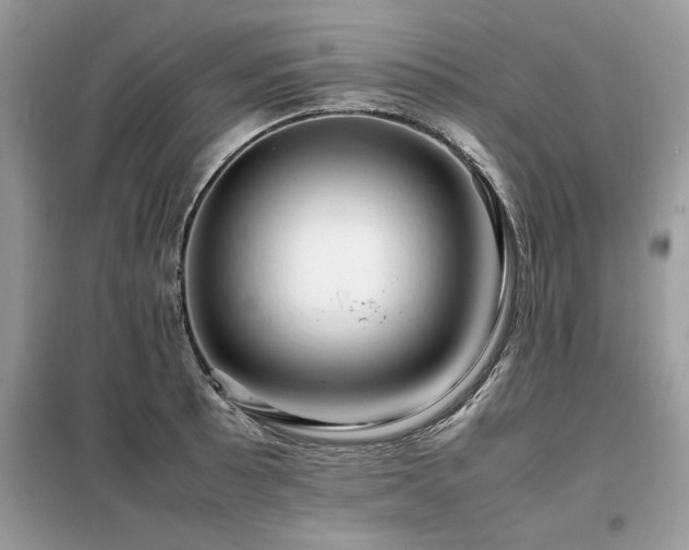 X0000099461089200805091523