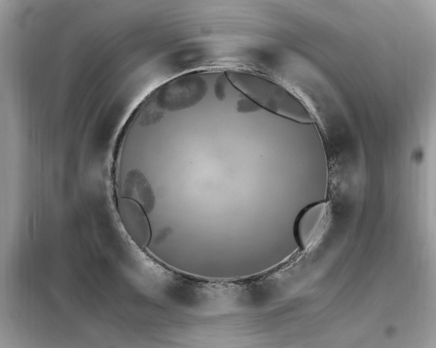 X0000099461091200805091523