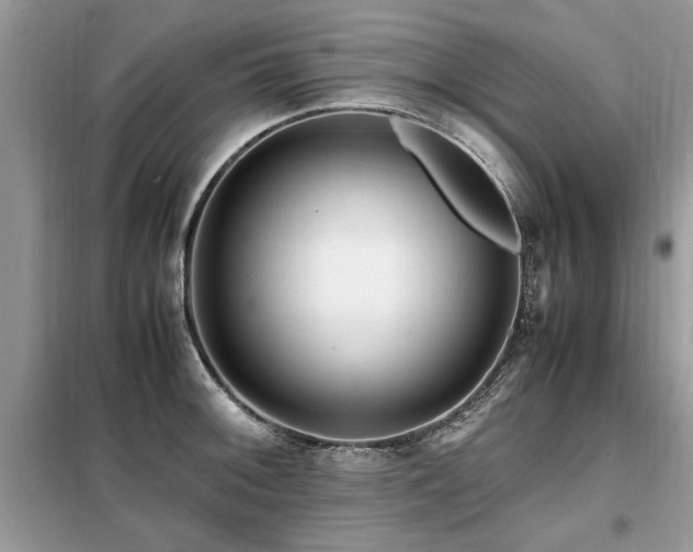 X0000099461092200805091523
