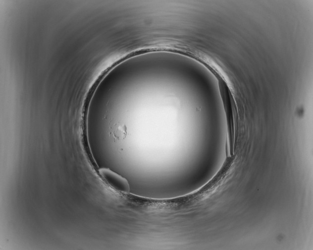 X0000099461093200805091523