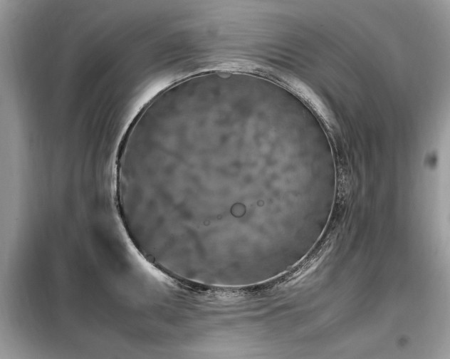 X0000099461095200805091523