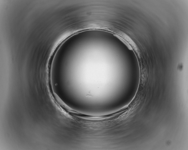 X0000099461096200805091523