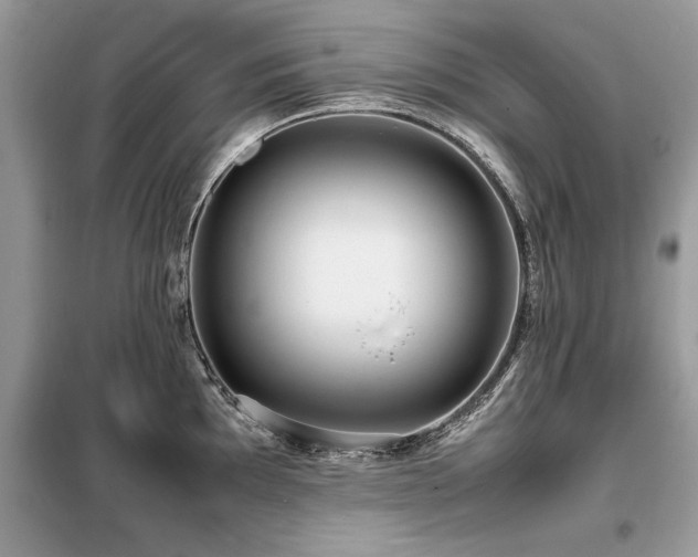 X0000099461097200805091523