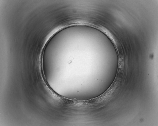 X0000099461098200805091523