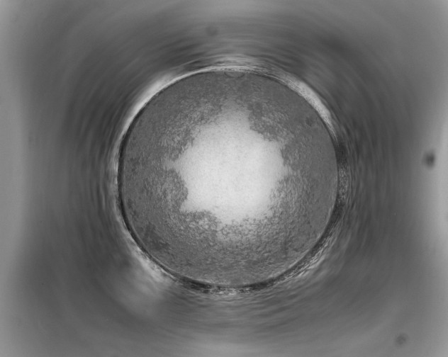 X0000099461099200805091522