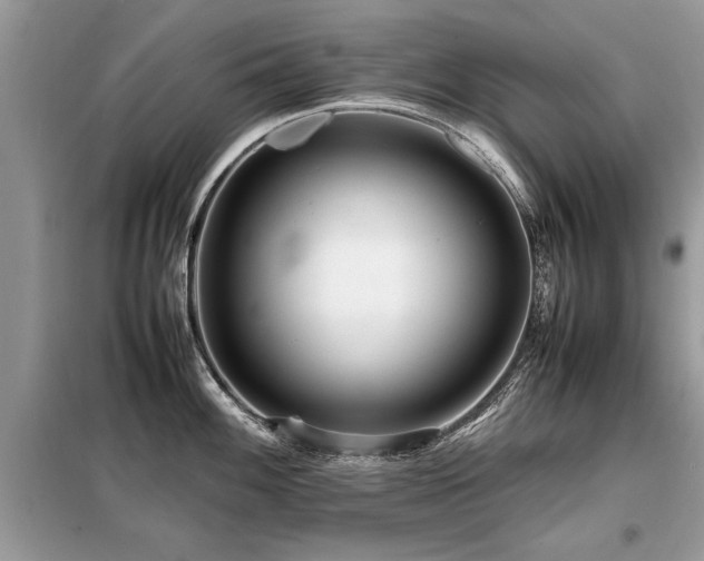 X0000099461100200805091522