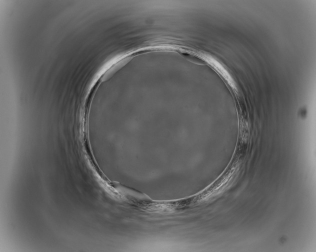 X0000099461101200805091522