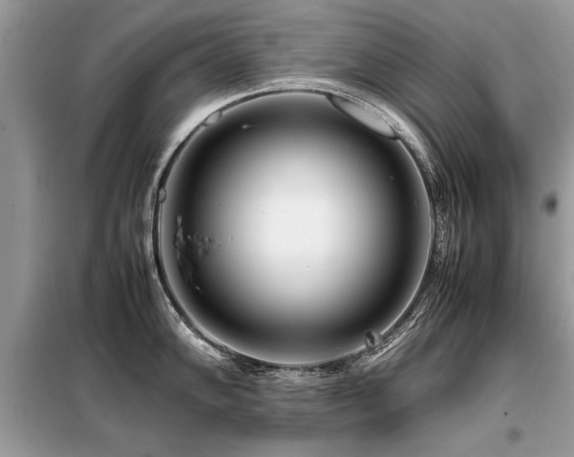 X0000099461102200805091522