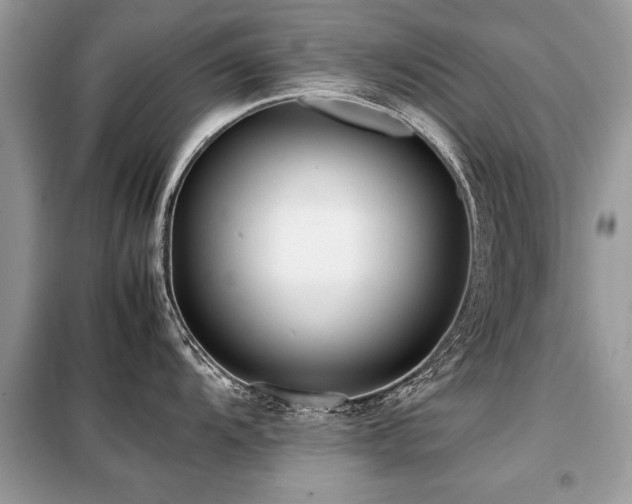 X0000099461104200805091522