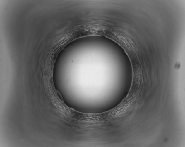 X0000099461105200805091522
