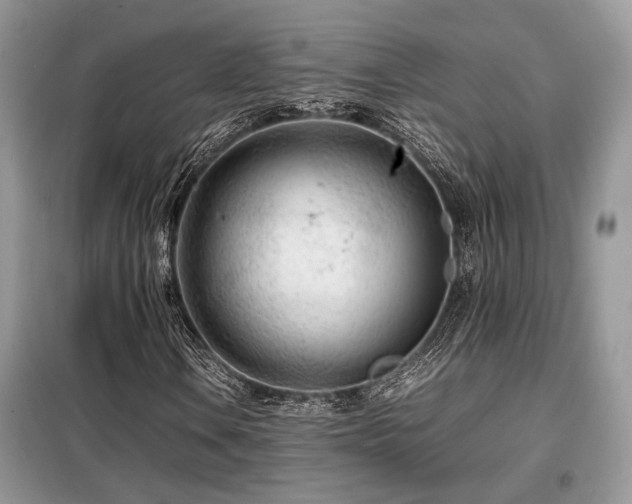 X0000099461106200805091522