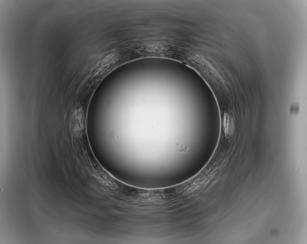X0000099461107200805091522