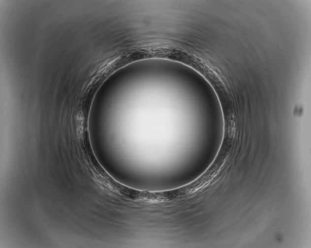 X0000099461108200805091522