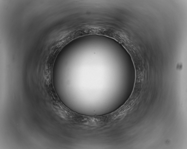 X0000099461109200805091522