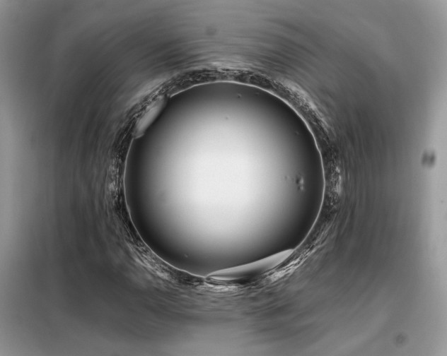 X0000099461110200805091522