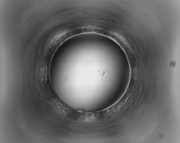 X0000099461111200805091522