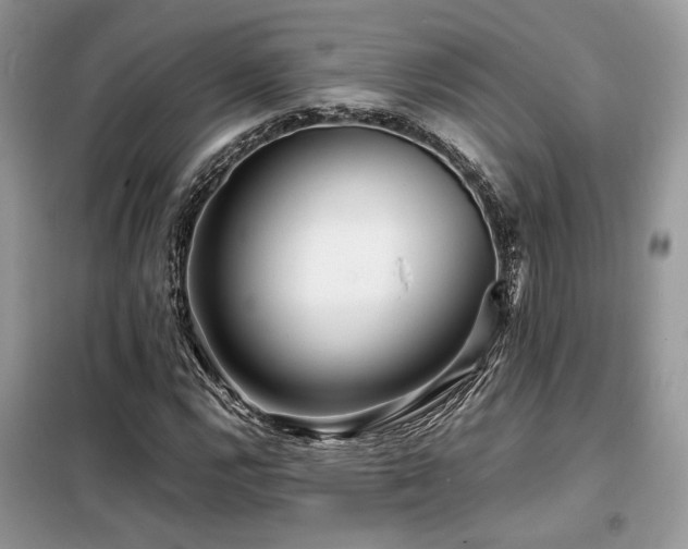 X0000099461112200805091522