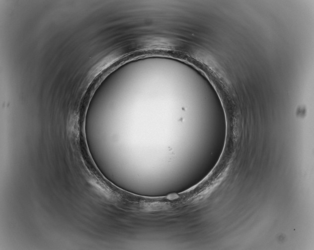 X0000099461113200805091522