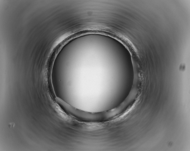 X0000099461114200805091522
