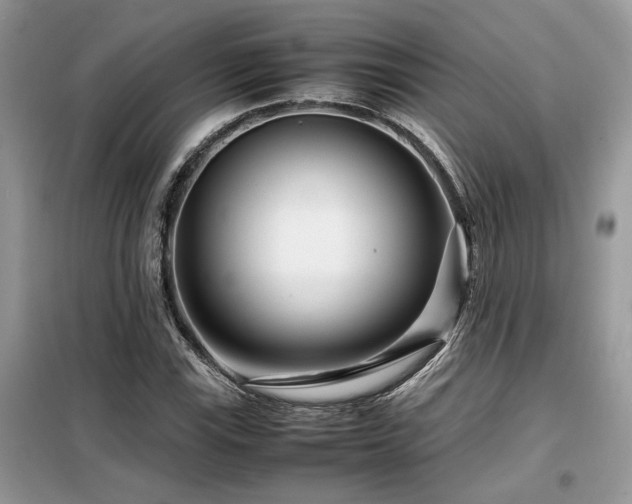 X0000099461115200805091522