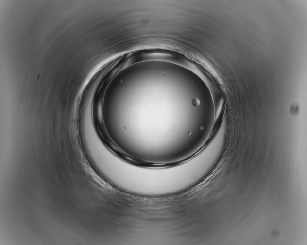 X0000099461116200805091522