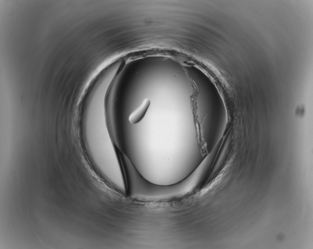 X0000099461118200805091522