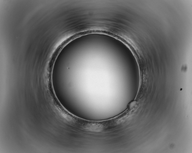 X0000099461119200805091522