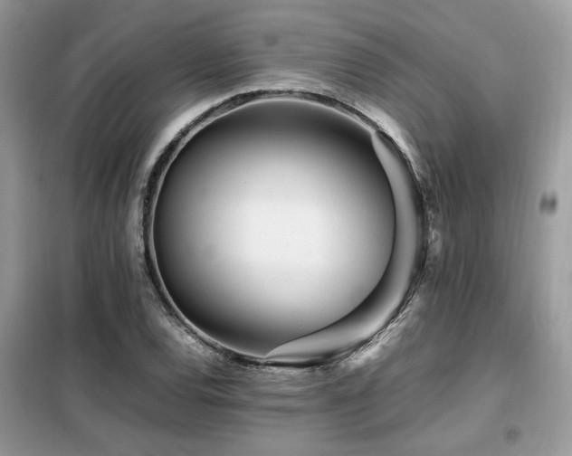 X0000099461120200805091522