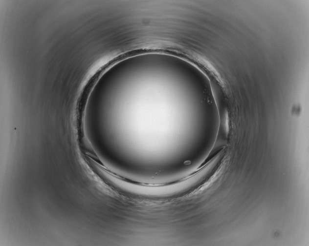 X0000099461122200805091522