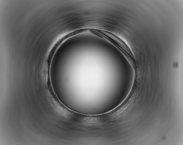 X0000099461123200805091522