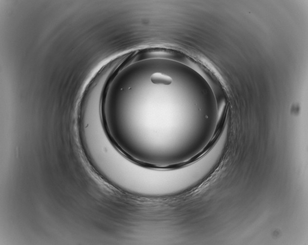 X0000099461124200805091522