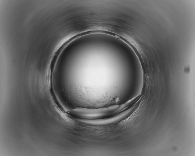 X0000099461127200805091522