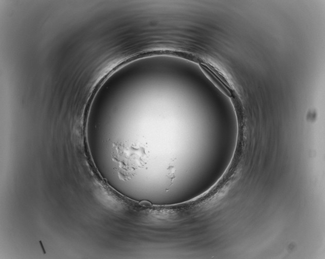 X0000099461129200805091522