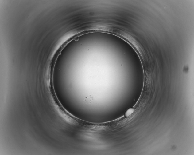 X0000099461131200805091522