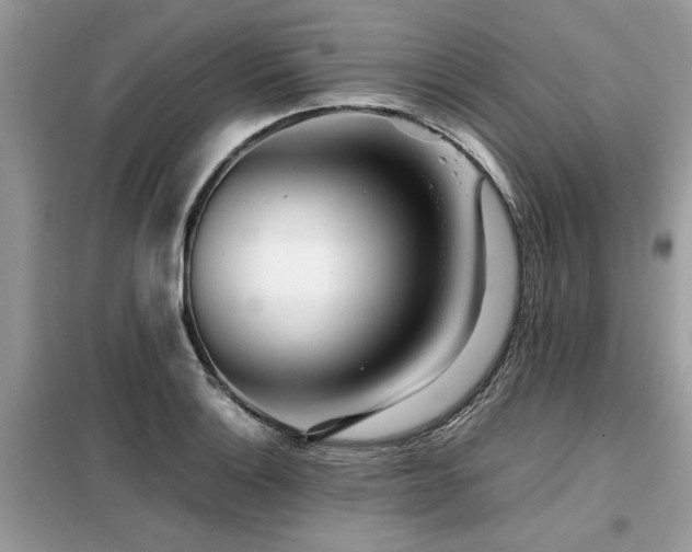 X0000099461132200805091522