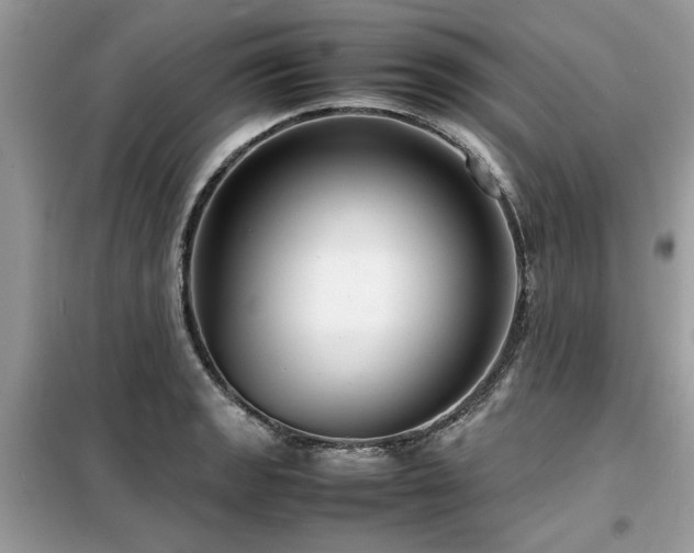 X0000099461133200805091522