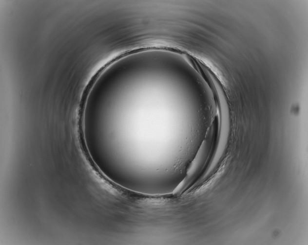 X0000099461134200805091522