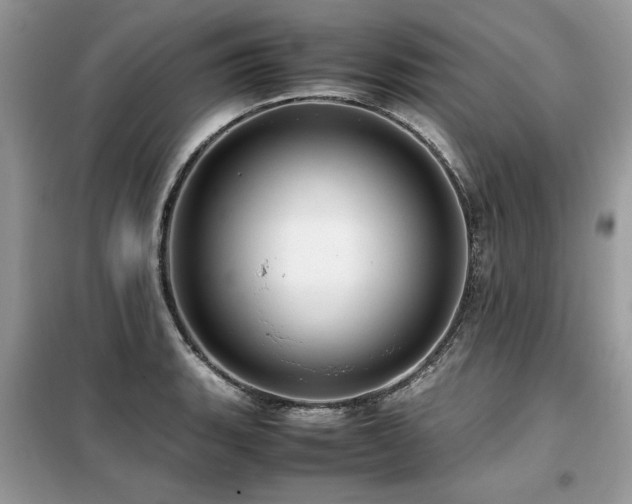X0000099461135200805091522